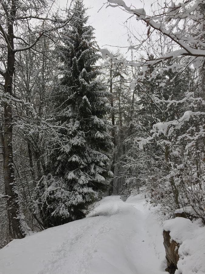 Chalet Le Verger Agettes Kültér fotó
