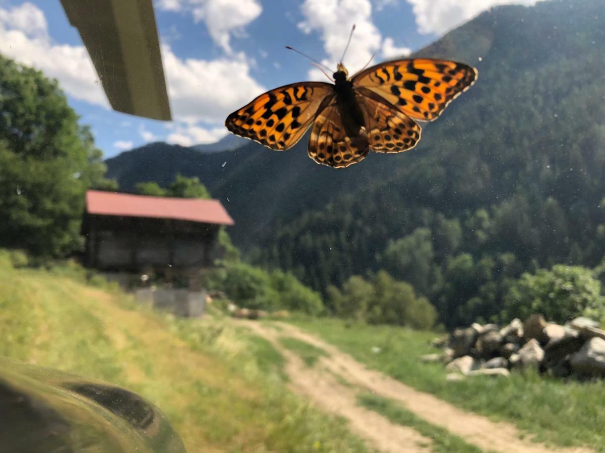 Chalet Le Verger Agettes Kültér fotó